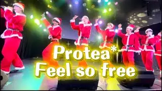 Feel so free(サンタver.)Protea*(バイプロテア) 【2025年12月23日@Veats Shibuya】