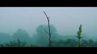 CINEMATIC MORNING VIEWS #winterspecial #season #hritikraj #cinematic #morning #beautifulnature