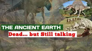The Story Of Fossils | Prehistoric Animals | Sarmad Chandio Official
