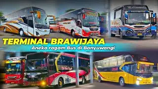WOW🔥 Aktivitas Aneka Ragam bus Banyuwangi|| 2026