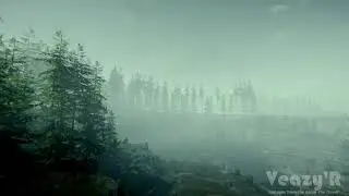 The Forest - Starting Island Atmosphere (Ambient Mix)