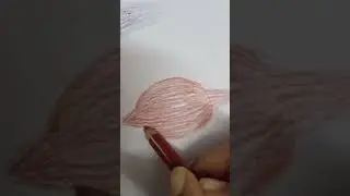 How to draw Coconut 🥥#Pencil Colour#very easy#object drawing#shorts