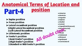 Terms of location and position || part-4 || Anatomical position and directional terms||Anatomy 