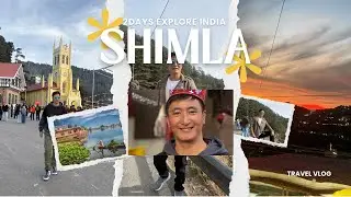 “Lost in the hills of Shimla”🌲🌲🌲#shimladairies #shimla #journey #india 