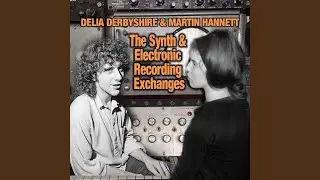 Hannett and Delia synth exchanges track 5
