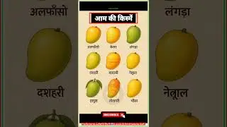 Mango Varieties🥭🤤Mango Varieties #mango #gkgstrickrk