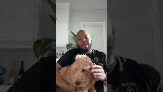Does your dog know they&rsquo;re Black?