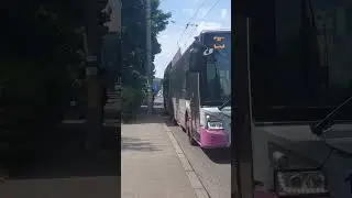 Autobuz MBC #904 pe linia 24B și troleibuz Astra-Iveco town 118 #105 pe linia 25