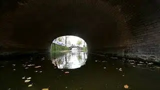 Kayaking through the canals of Delft