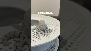 Rocktopus.#shorts