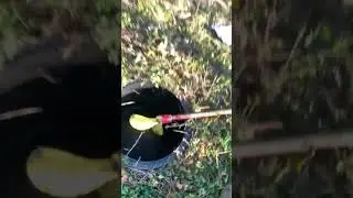 Septic tank mixing