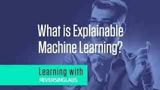 Learning with ReversingLabs: What is Explainable Machine Learning?