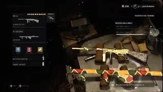 I GOT THE MP-40 GOLD!!!