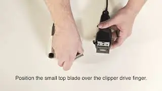 Как сменить разборное лезвие на машинке WAHL. How To Replace a 2 Hole Clipper Blade Wahl