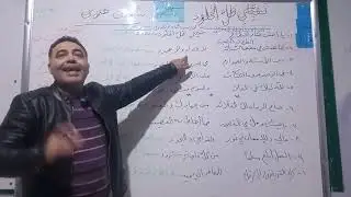 تفيئي ظل الخلود تاسع