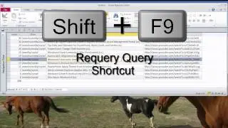 Access - Requery a Query Shortcut