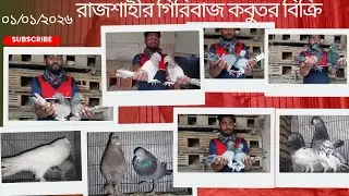 নসাদ ভাইয়ের নতুন কালেকশন করা রাজশাহীর গিরিবাজ বাজির কবুতর বিক্রি হবে || কবুতর বিক্রি #somratshimul 