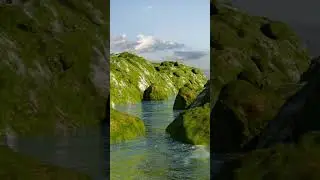 River environment made with blender