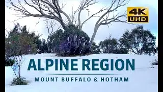 Snow season Victoria, Mount Hotham Mount Buffalo
