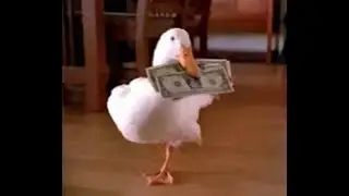 Summary of Aflac Plans - Green Hasson and Janks