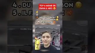 TOP 6 MEME SWAN & NEO 😂
