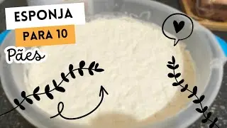 Esponja para 10 pães.#fermentonatural 