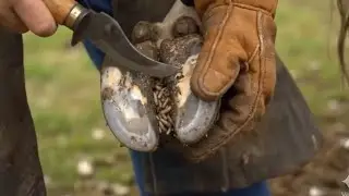 This Cow Kept Walking With THIS Inside Her Hoof &mdash; What We Found Was Absolutely Horrifying 😱🐄