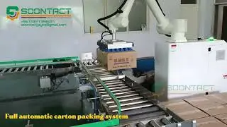 Full automatic carton box packing line | Automatic open box & Feed & Close case & auto palletising