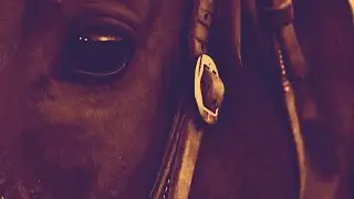 Riding a Legend - Sherry Cervi