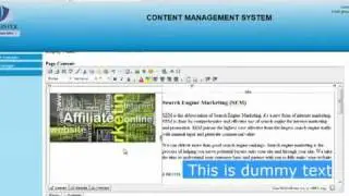 custom website cms,content management website
