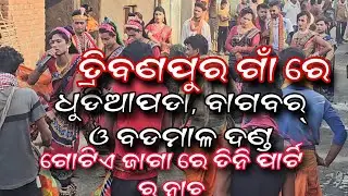 Tribanpur re Bagbar,Dhudiapada and Badmal Danda ||ଜୋରଦାର୍ ଡ୍ଯାନ୍ସ, ଫୁଲ୍ ଧମାକା || #dandanacha #danda