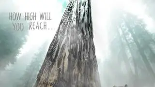 Your True Nature- Animation