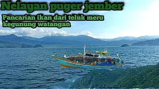 nelayan puger jember pencarian ikan dari teluk meru metiri kegunung watangan