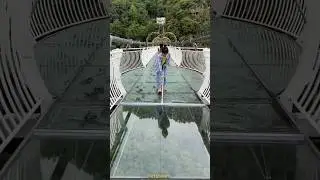 china glass bridge