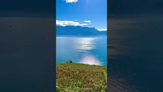 UNESCO World Heritage Site - Lavaux, Switzerland #shorts #lavaux #switzerland