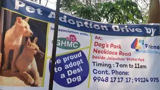 DOG ADOPTION  FULL INFORMATION  PART -2|| PET ADOPTION HYDERABAD NECKLACE ROAD || 9912497599