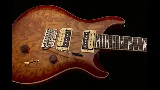 PRS SE Custom 24 Burled Ash - Recensione