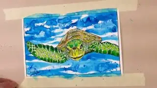 Spotlight Art Timelapse: Turtle