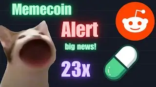 Memecoin Alert - Solana Competitor, Snoofi and Twitter DRAMA. (Episode 1, Memecoin NEWS)