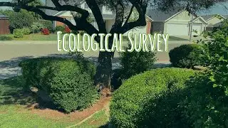 Ecological Survey