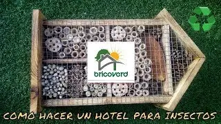 COMO HACER UN HOTEL PARA INSECTOS CASERO