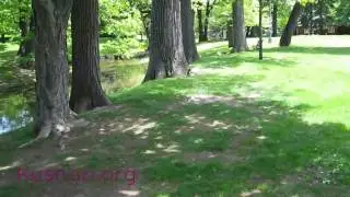 Chilling in Westmount Park (HD)