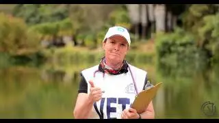 Chequeo Veterinario endurance / Endurance Vet Check