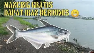 Mancing Gratis dapat Ikan Berkumis | Pemancingan YS 1 Semarang Barat
