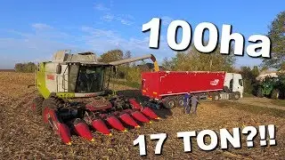 17 TON Z HEKTARA?! ☆ Claas Lexion 650 VS 100ha ☆ Kukurydza na ziarno 2019 ☆ 3x Johndeere + 3x Fliegl