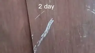 Dusre din ka Mera kam 🏚️🏚️🏚️🚪🏚️🏚️