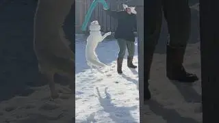 Когда плавательная палка дала отпор! 🤣😂