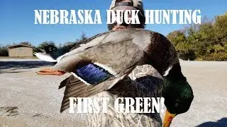 NEBRASKA PUBLIC LAMD DUCK HUNTING 18-19 - FIRST GREEN!