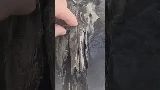 (Super simple way to hydro dip) they turned out amazing