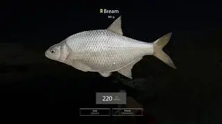 Russian Fishing 4 Beginner's Guide to RF4 Level 12 First steps at Old Burg Bream, Tench